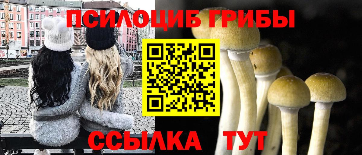 Дербент  Псилоцибиновые грибы Cubensis  Вход с VPN  Псилоцибиновые грибы Magic Shrooms 