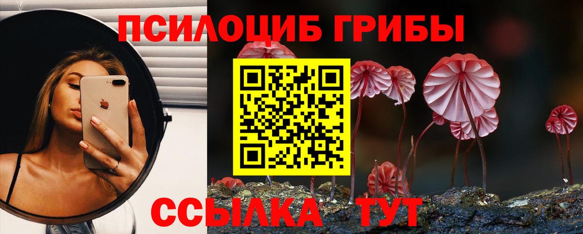 Галлюциногенные грибы GOLDEN TEACHER Дербент